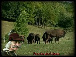 Marche des bisons de Breurey-lès-Faverney