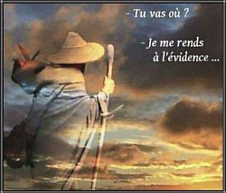 Où irons-nous cette année ?